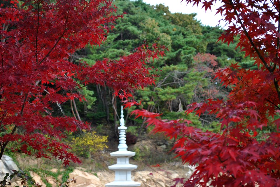 Deoksungsan Mountain