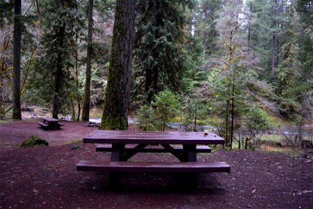 lower-skilletjpg_49364235728_o