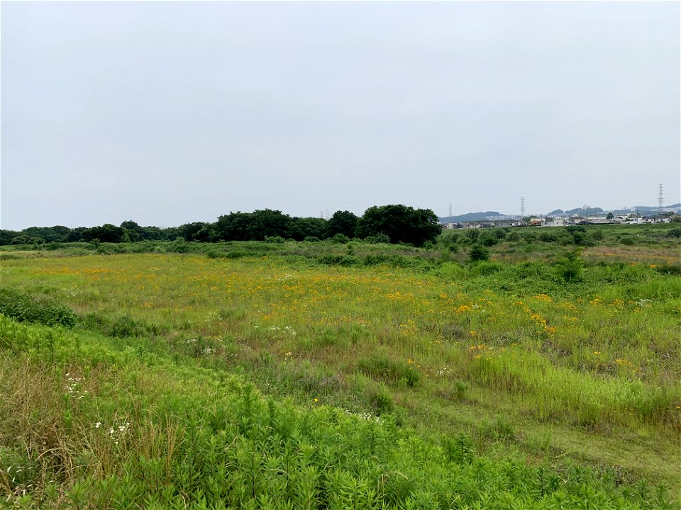 Tama River in Hino-shi