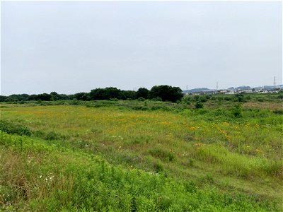 Tama River in Hino-shi