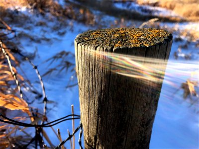 This Post will be Magical