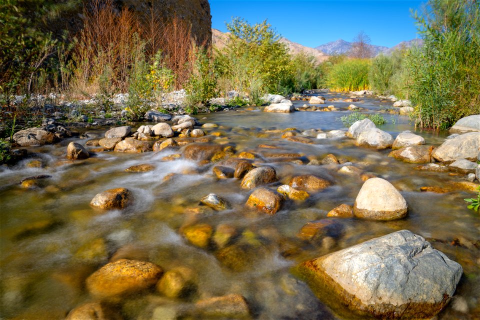 Whitewater Preserve and San Gorgonio Wilderness
