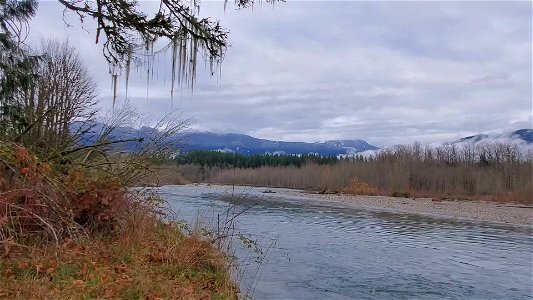 Sauk River near the confluence with Suiattle River. Video by Anne Vassar November 23, 2020.