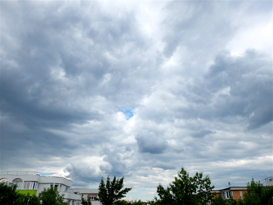 nori-sediu2015_0526_164922(1)
