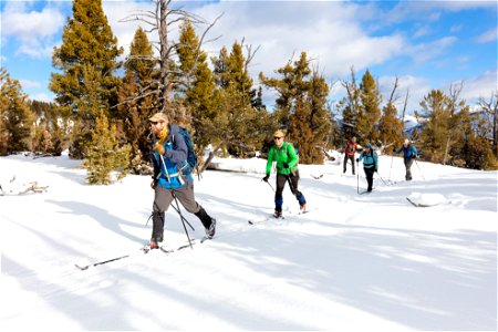 Skiers heading to the Snow Pass Trail photo