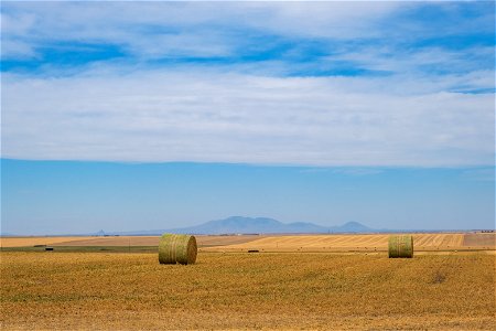 Looking north to the Sweet Grass Hills of northern Montana