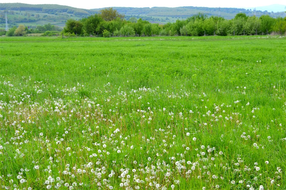 Spring time