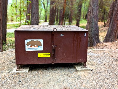 Bear Box at the South Yuba Campground photo