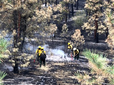 Cow Canyon Fire