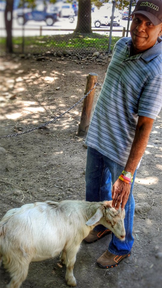 Jay's Friendly Goat