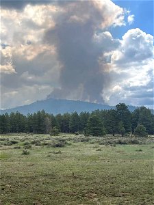 Burnout operations on Mooney Mountain, Volunteer Fire 6/2/23. photo