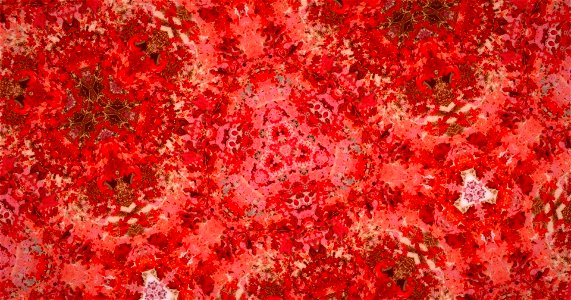 Kaleidoscope211210153632