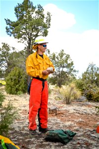 New Mexico Fuels Project
