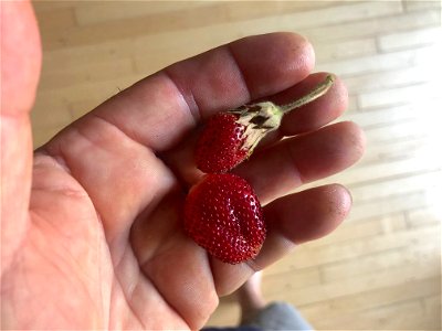 Fresh Home Grown Berry Pair