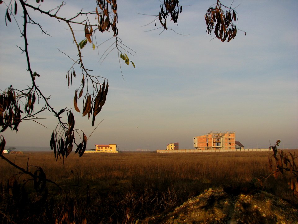 toamna2009_1127_091048