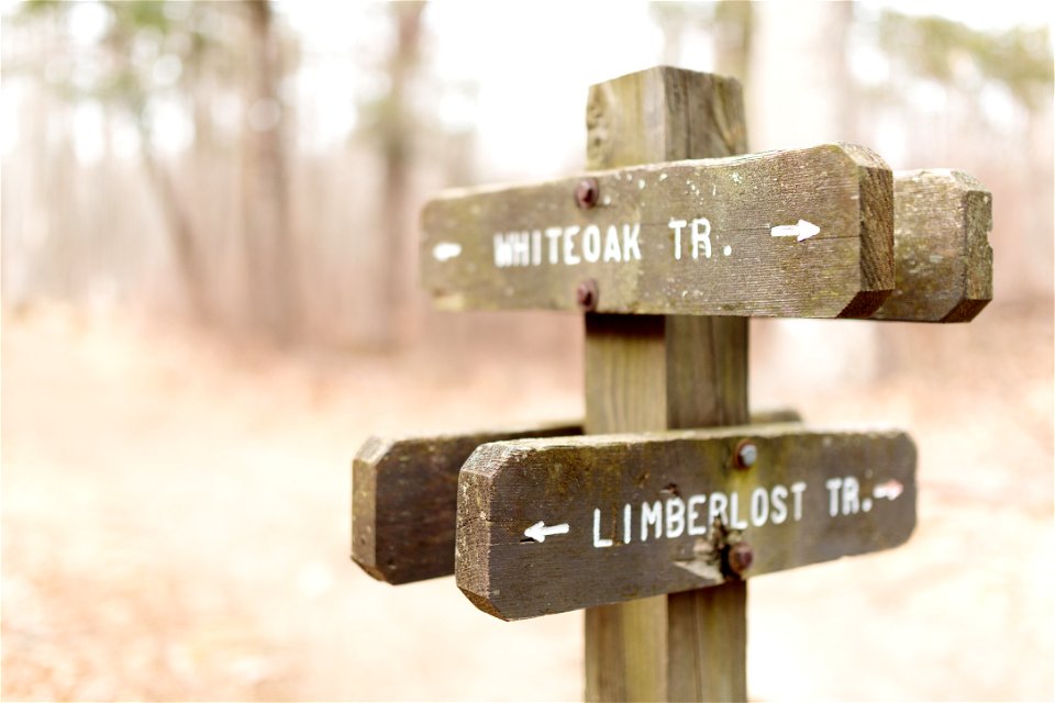 Wood Sign on Limberlost Trail photo