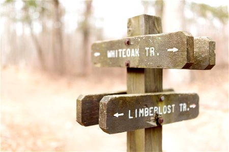 Wood Sign on Limberlost Trail