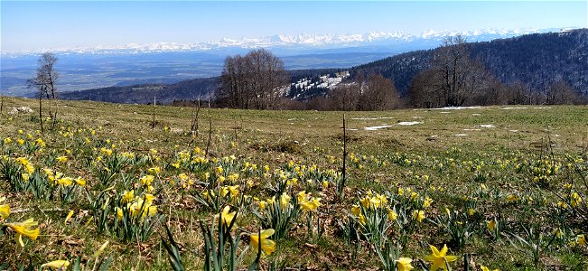 IMG_20210408_150043