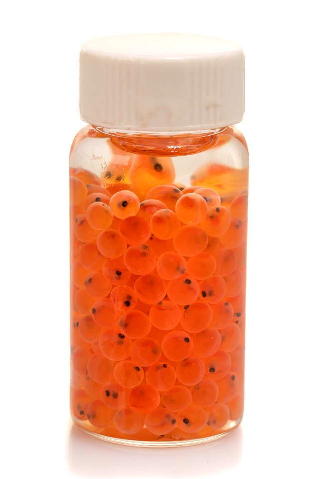 Rainbow Trout Eggs