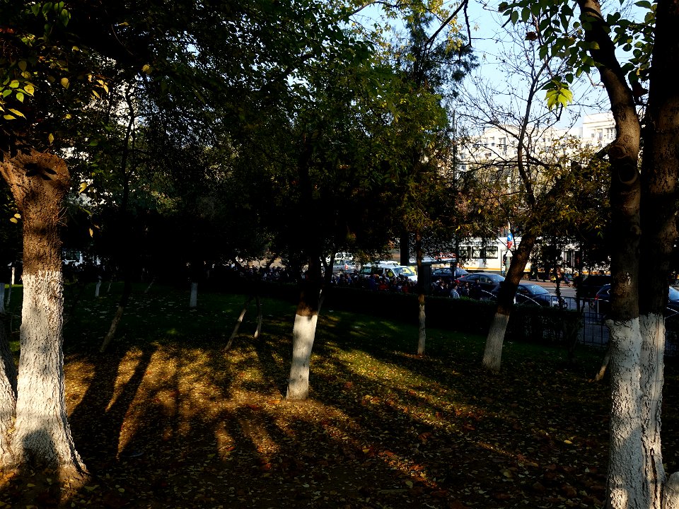 2019-10-28_la Sfantul Dimitrie pe Colina Bucuriei_14