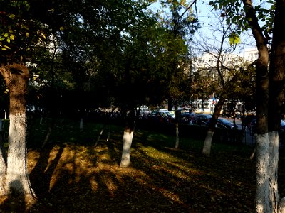 2019-10-28_la Sfantul Dimitrie pe Colina Bucuriei_14