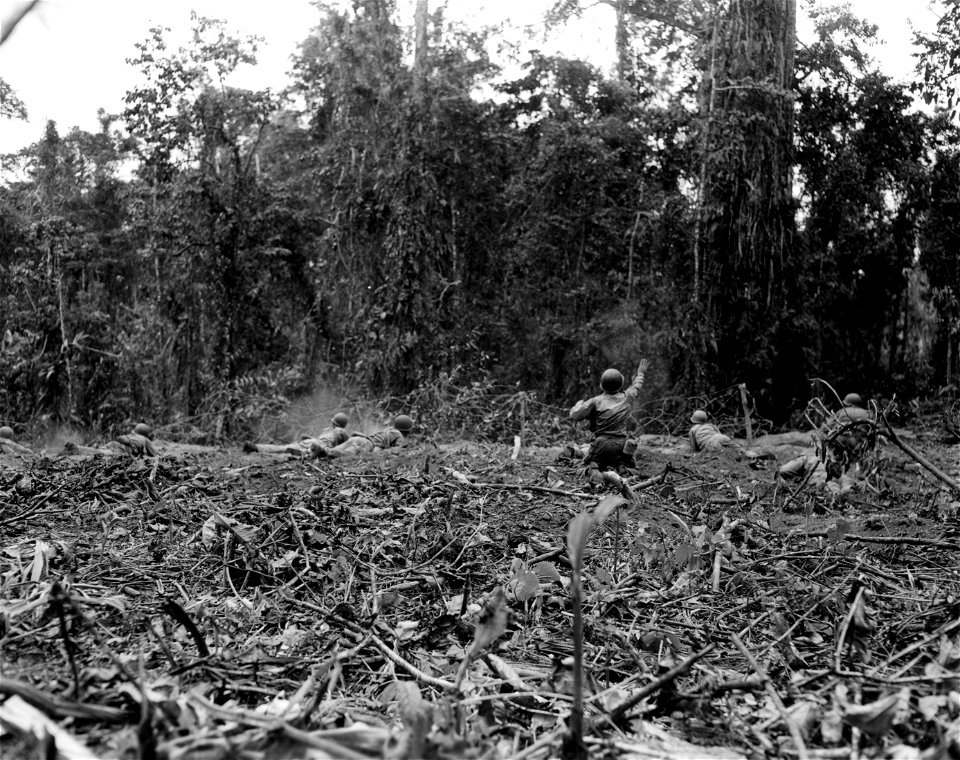 SC 334743 - Firing at the enemy with concentrated rifle, BAR and grenade fire. Soldier at right center has just tossed a grenade.