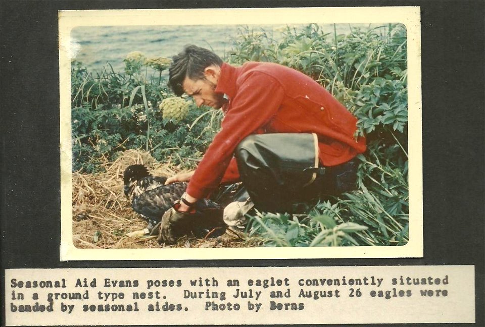 (1966) The Aide and the Eaglet