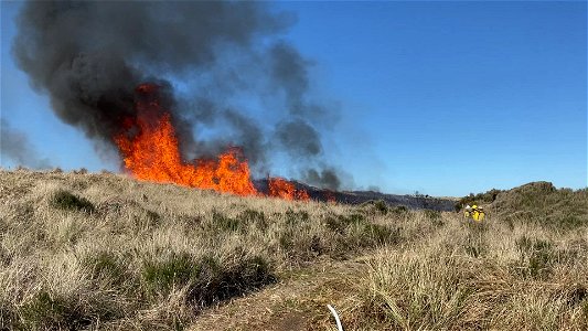 Siuslaw Oregon Dunes Prescribed Burn 2022