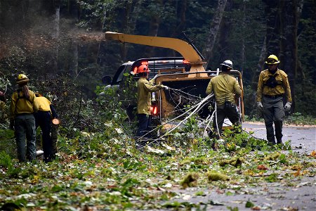 Wood Chipping, Bolt Creek Fire, Washington