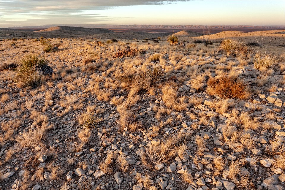 Otero Mesa