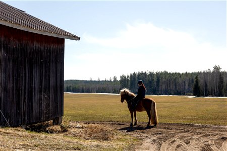Kaakkolan tila, Topeno