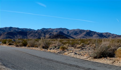 Joshua Tree National Park