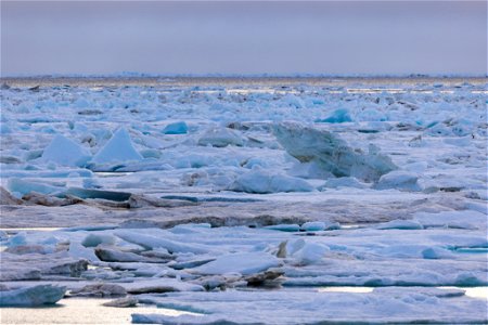 Sea ice photo