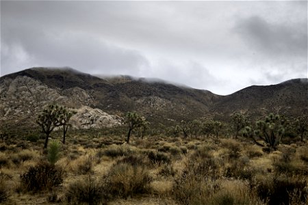 Clouds over Ryan Mountain photo