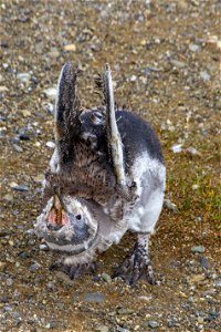 IMG_3973