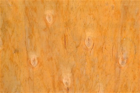 Texture