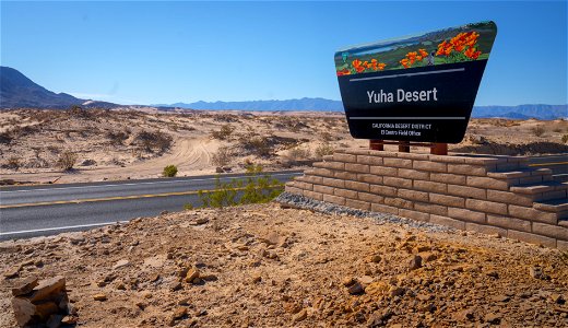 Yuha Desert photo