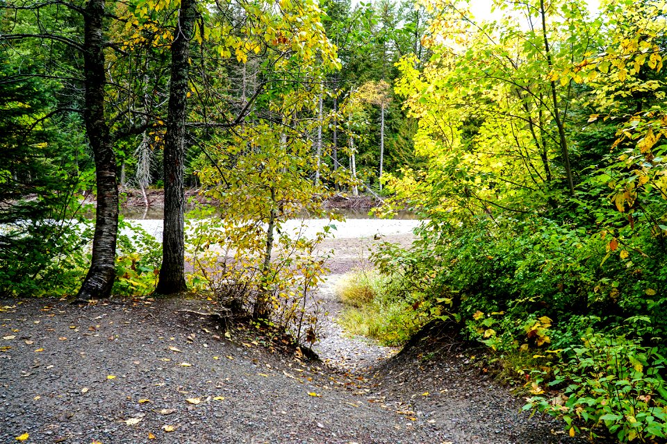 Avalanche Picnic Area Shoreline