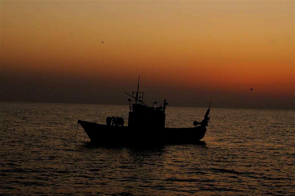 gnuckx11074258 Fishing Ognina Catania Italy - Creative Commons by gnuckx