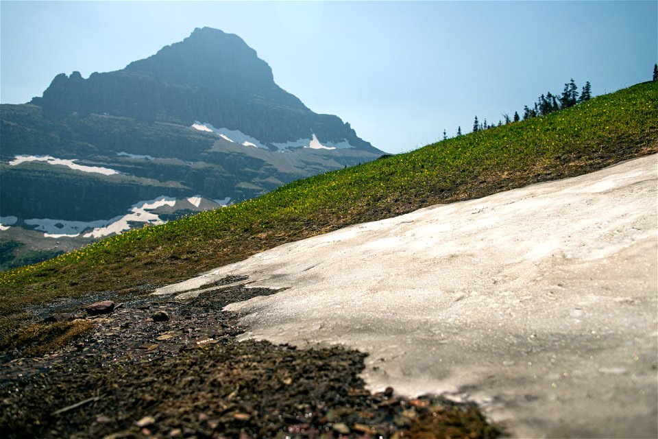 A Melting Snow Patch photo