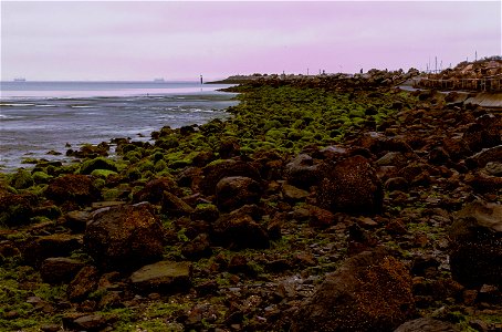 Crab Cove Coastline