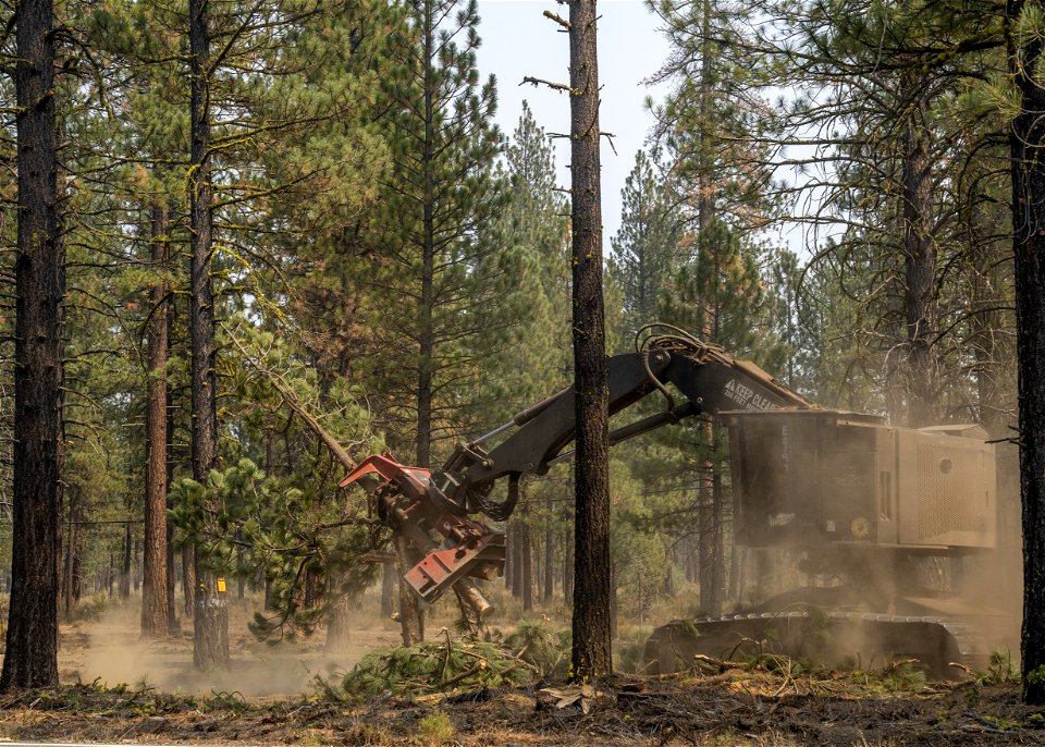 ForestTreatment-Lassen-Sept2021-733