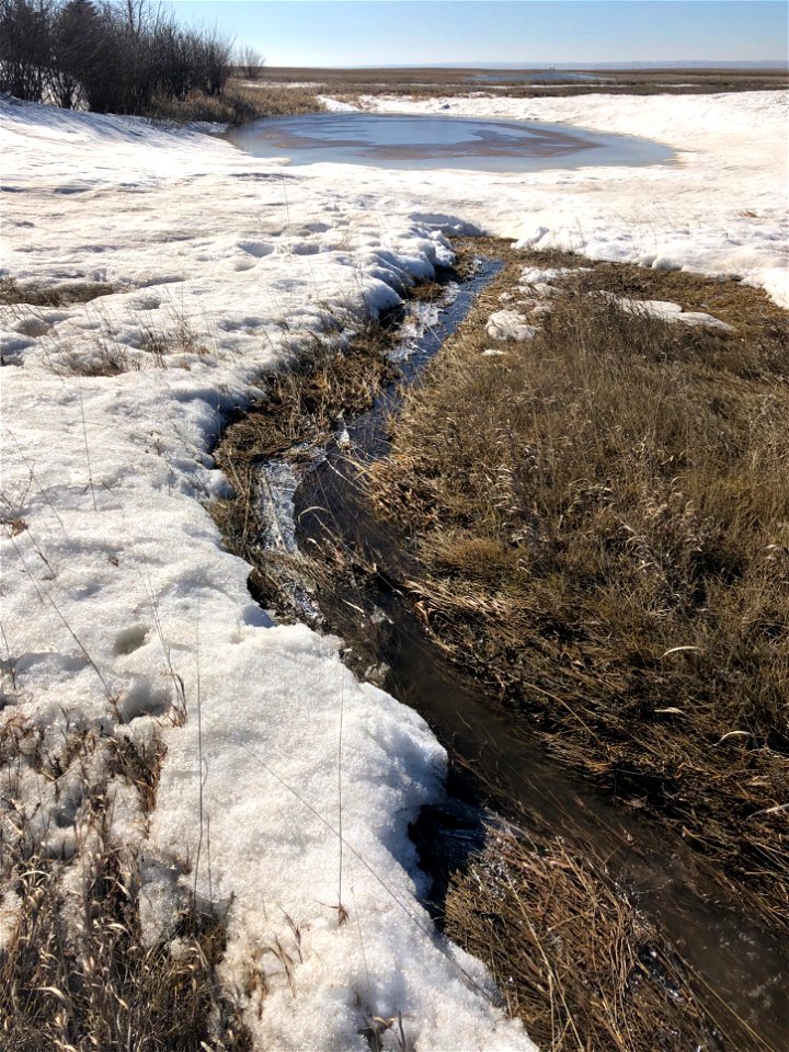 Melt Flow Fills the Slough