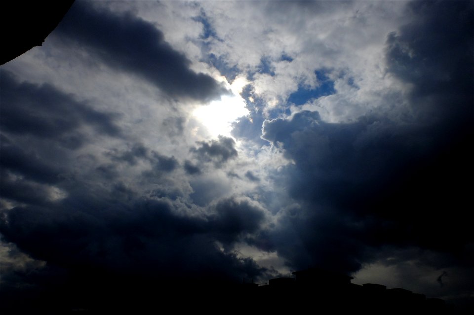 nori-Calea_vitan2014_1018_124701
