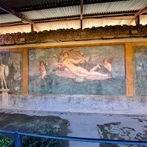 House of Venus Fresco Ruins Pompeii Italy