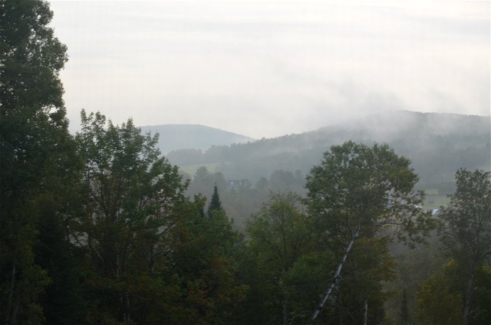 DSC_0006