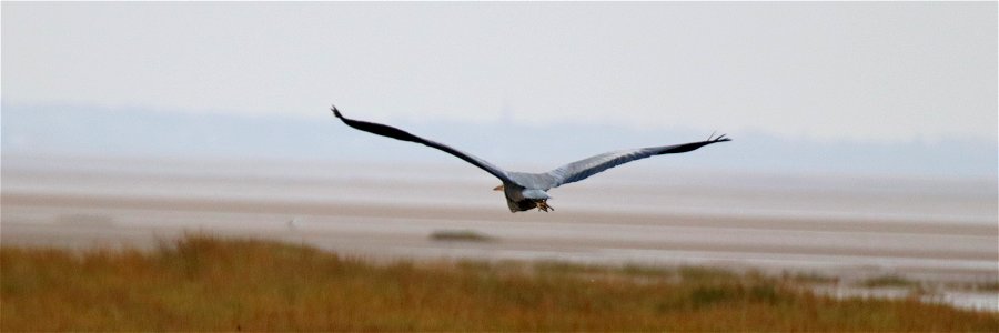 Bokeh Ribble Estuary. photo