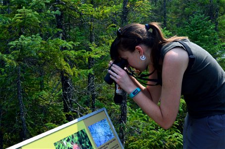 Examining the plants of the Big Bog!