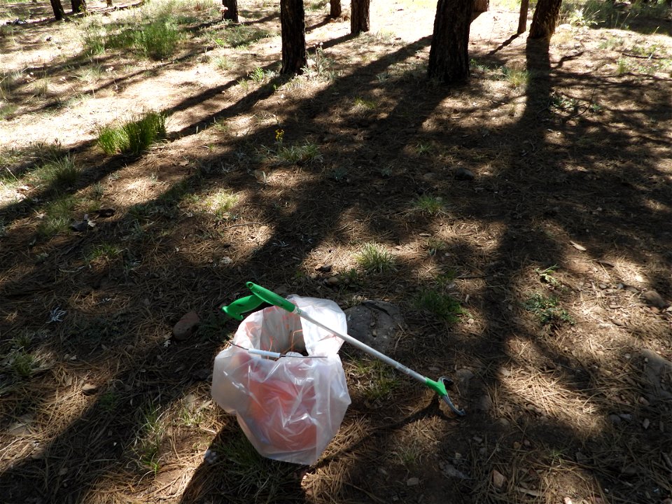 Pickin' Up in the Pines May 2022