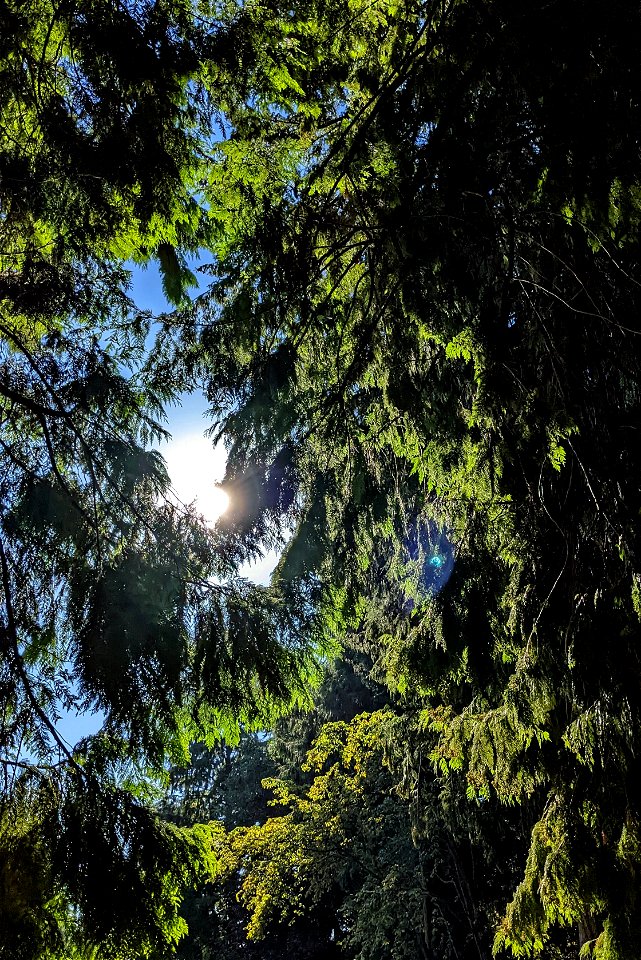 Sol Searching